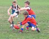 Ball handling Luke, Shepherd by Tom S